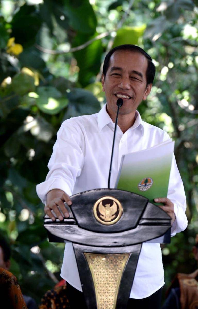 Dok.IDN Times/Biro Pers Kepresidenan