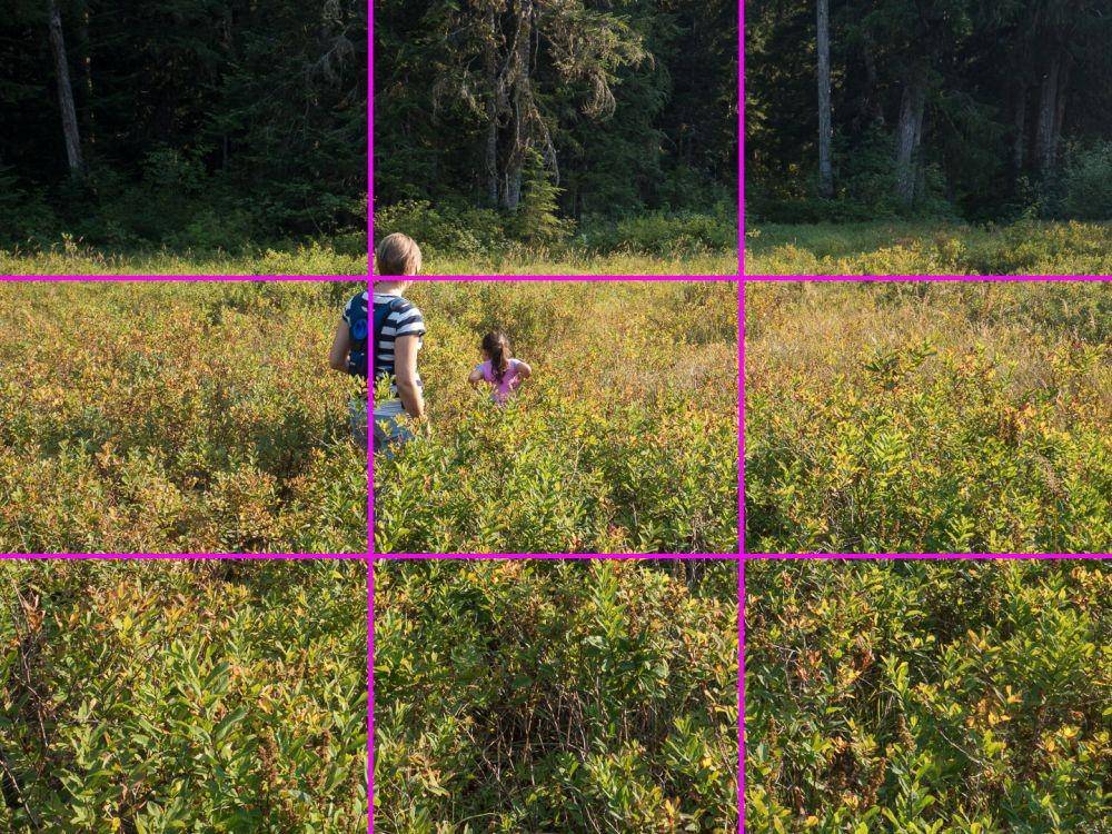 photofocus.com