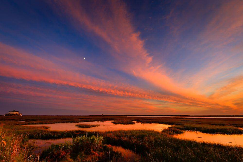 gregmolyneuxphotography.com
