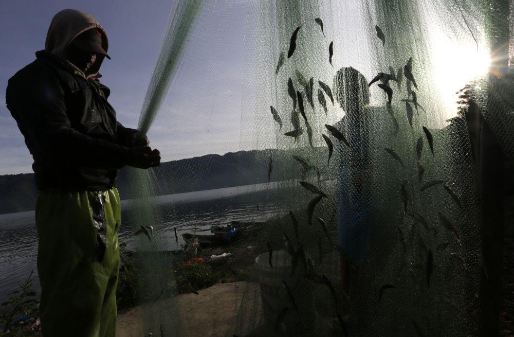 Puluhan Ribu Ikan di Pantai Texas Mati karena Kekurangan Oksigen
