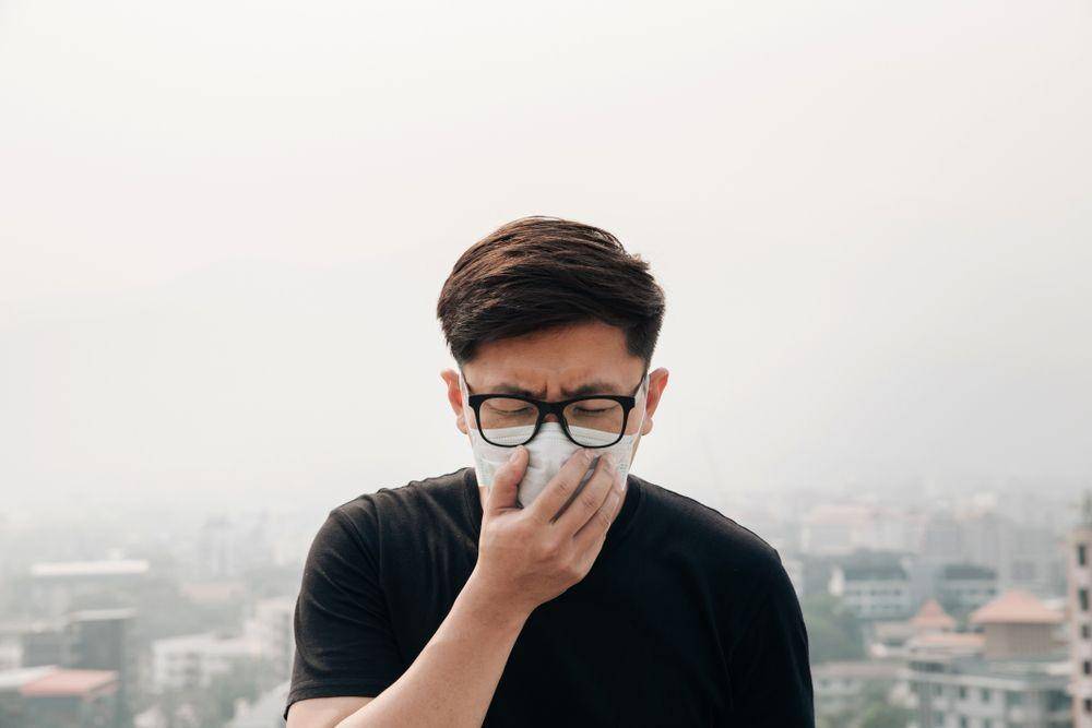 Shutterstock/Pcess609