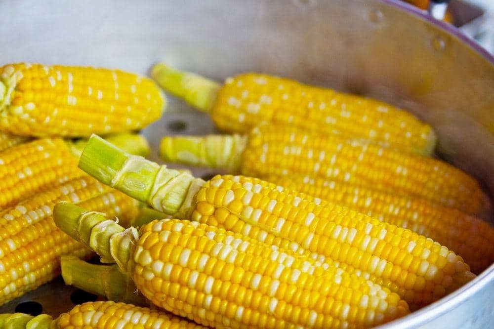 Tidak Hanya Dimakan, Ini 6 Manfaat Jagung untuk Kecantikan