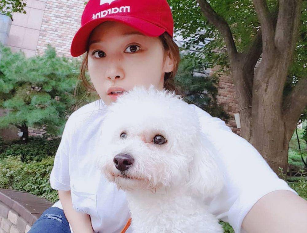 Instagram.com/country_min