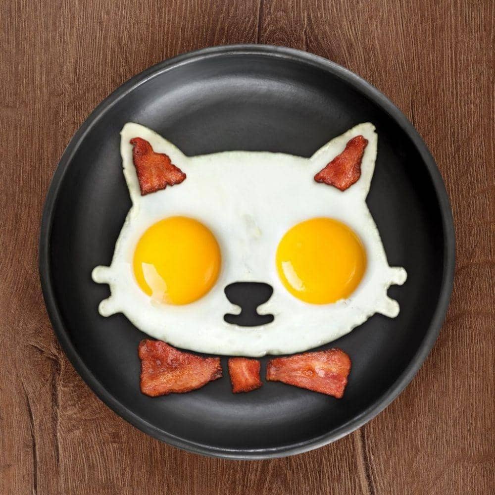 wideopenpets.com