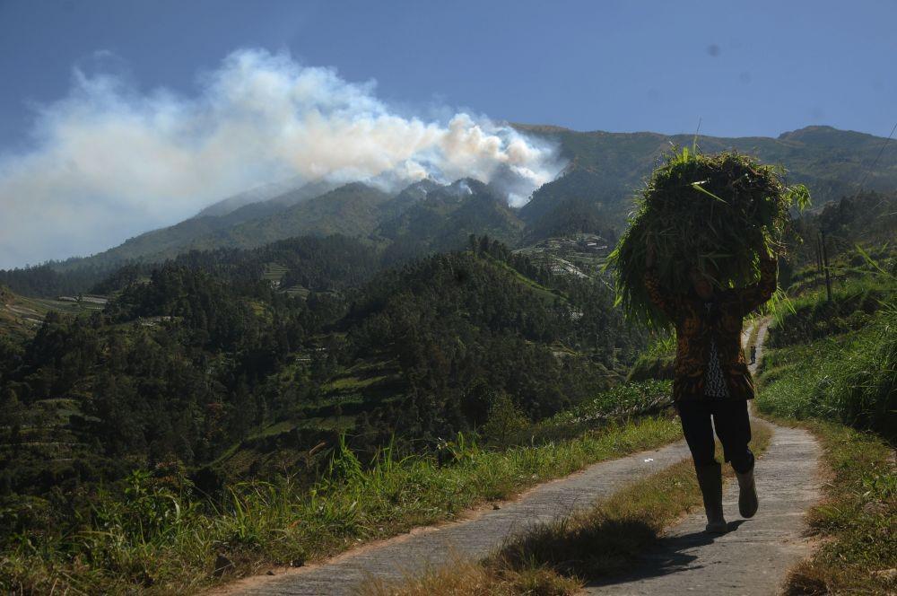 Kebakaran di Gunung Merbabu Akhirnya Padam, Pengungsi Pulang!