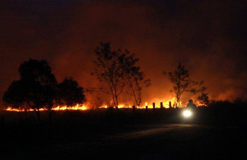 Kebakaran lahan gambut di kelurahan Guntung Manggis Banjarbaru, Kalimantan Selatan, pada 28 Agustus 2019.