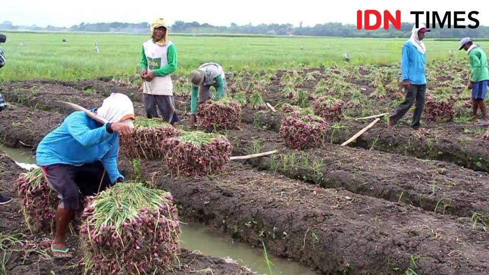 IDN Times/Rehan
