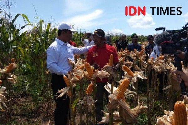 IDN Times/Imron