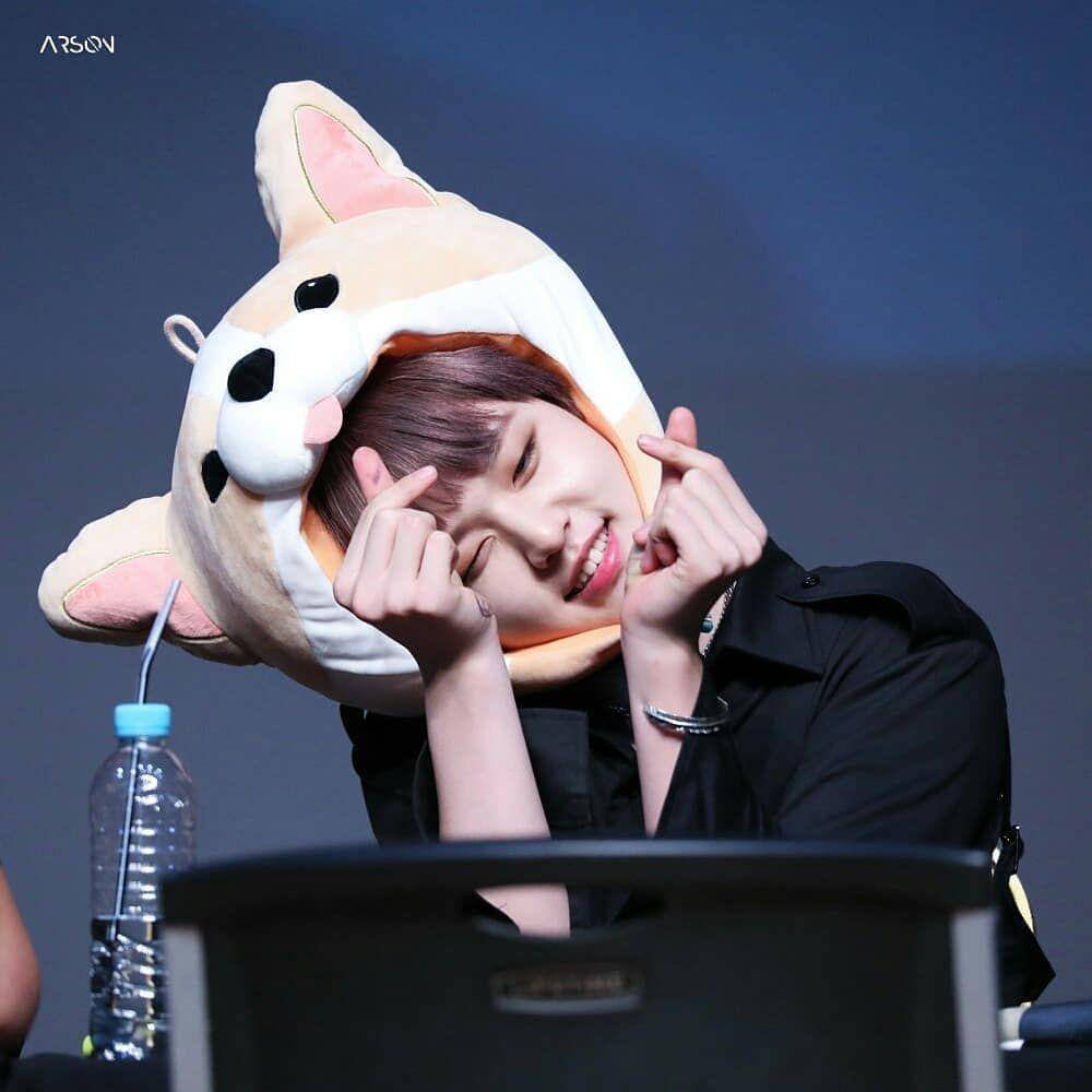 Instagram.com/official.dohyon