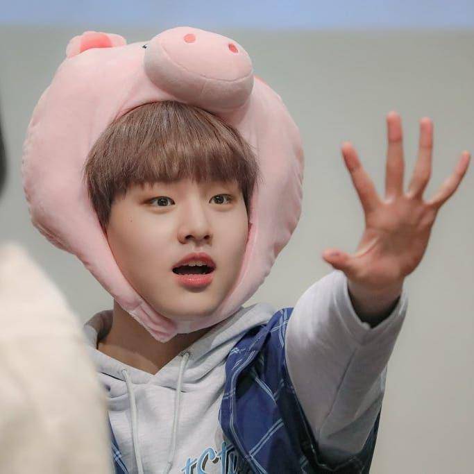 Instagram.com/official.dohyon
