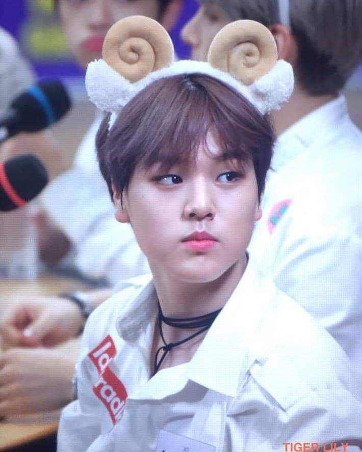 Instagram.com/official.dohyon