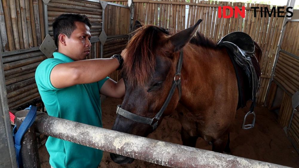 Kuda Delman di Jakarta Kelaparan Saat Pandemik COVID-19