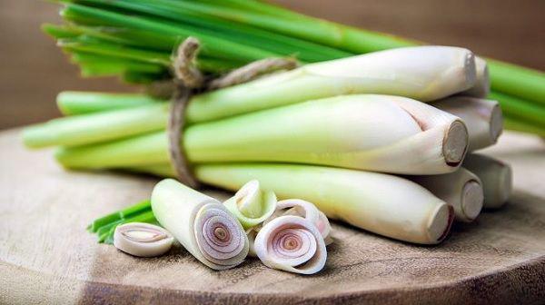 5 Trik Memaksimalkan Aroma Serai dalam Masakan, Biar Makin Sedap!