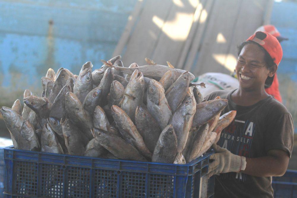 Bappenas Usulkan Indonesia Punya Pelelangan Ikan Internasional