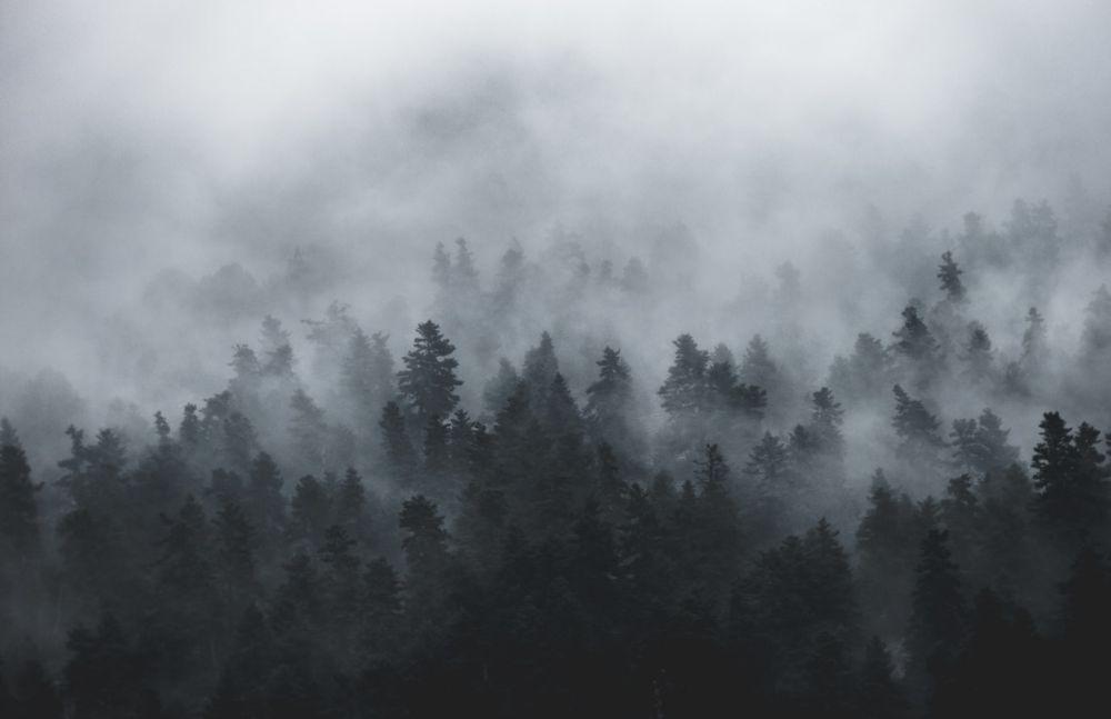Unsplash.com/Markos Mant