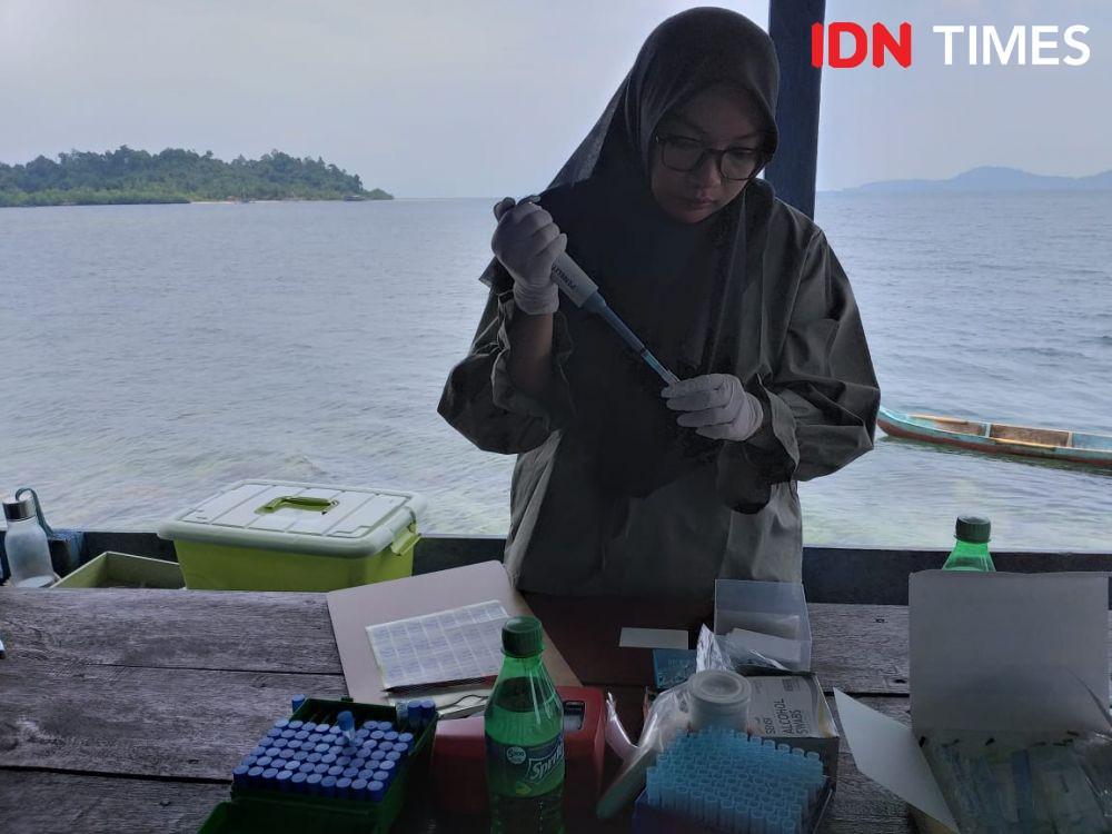 Ada 3 Jenis Penyakit Malaria Ditemukan di Pulau Mursala