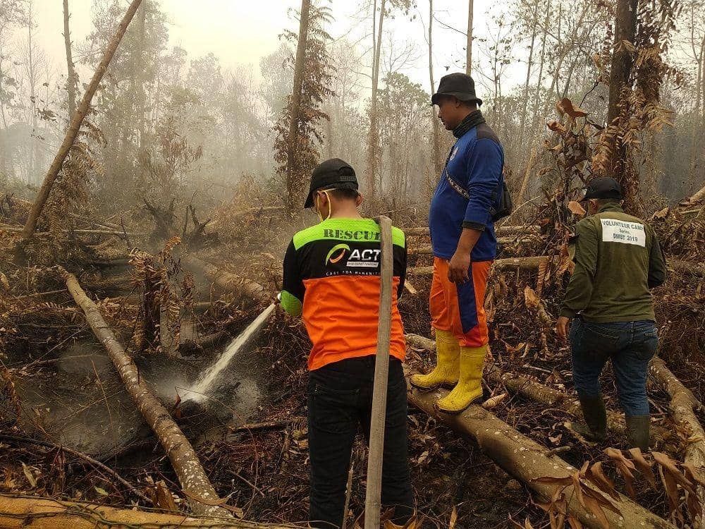 IDN Times/ACT