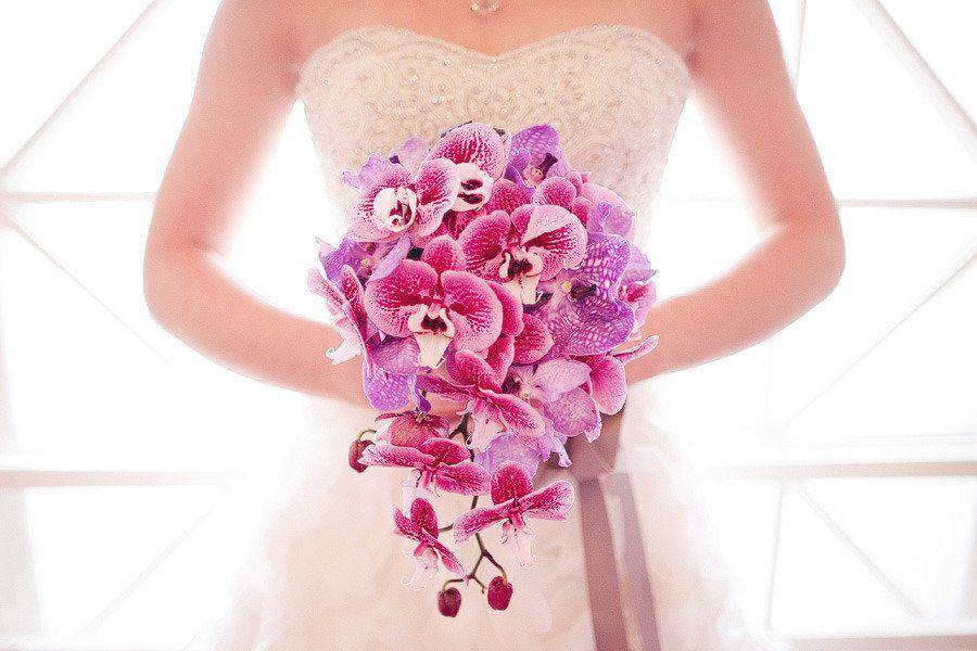 onewed.com