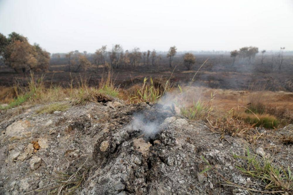 IDN Times/ Humas Pemprov Sumsel