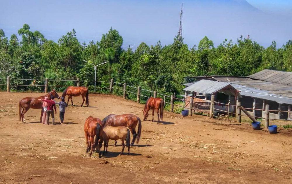 6 Wisata Edukasi Buat Pecinta Satwa di Kota Batu, Seru Abis!
