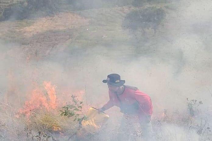 Kisah Heroik Petugas Padamkan Api di Kalimantan, Ada yang Diamputasi