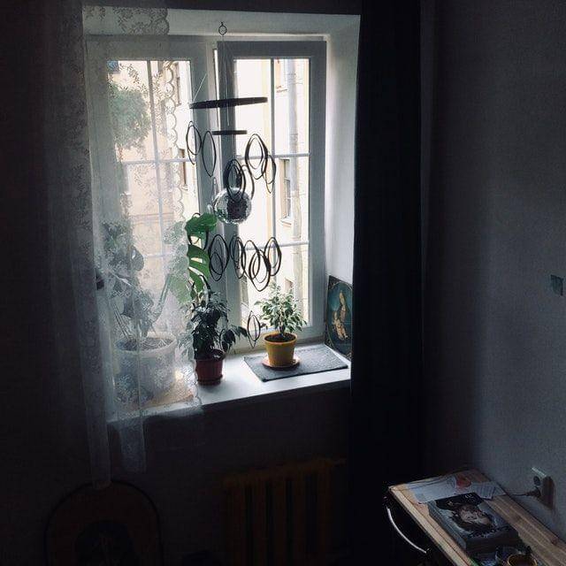 Pexels/Inga