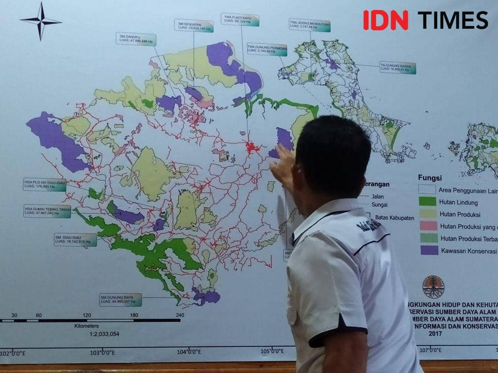 BKSDA Sumsel Catat Ada 400 Hektare Lahan Konservasi Terbakar