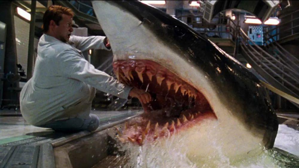 7 Film Hiu Terbaik dan Paling Menegangkan, Dijamin Seru!