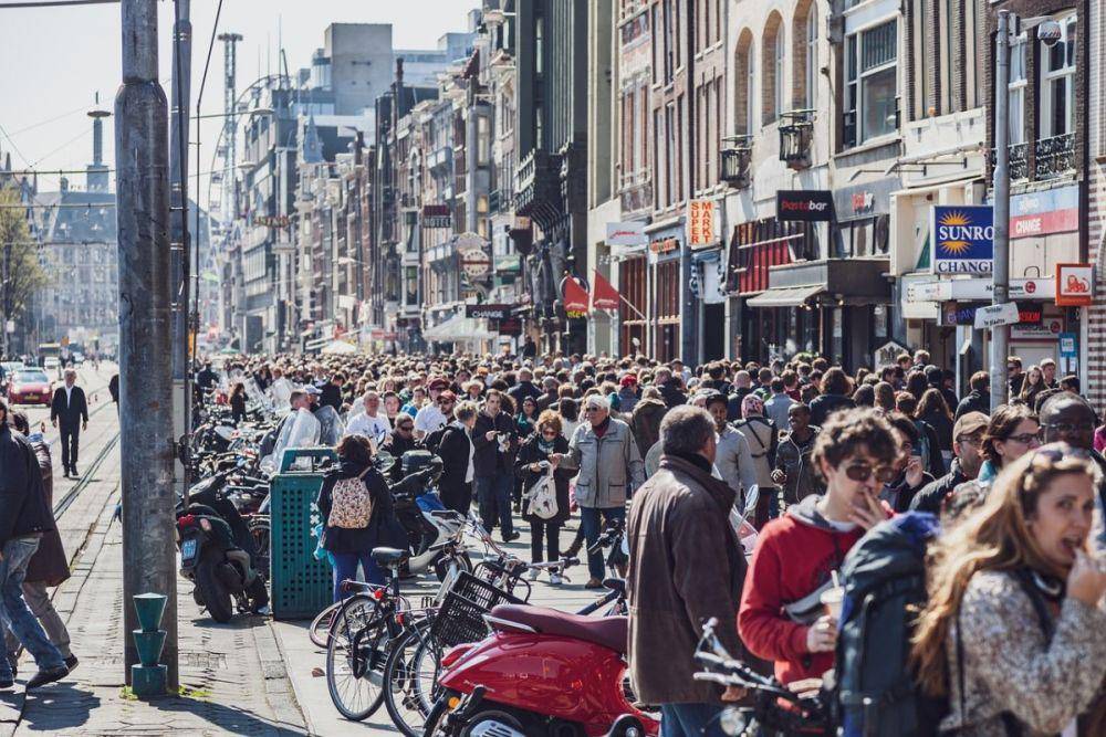 dutchreview.com