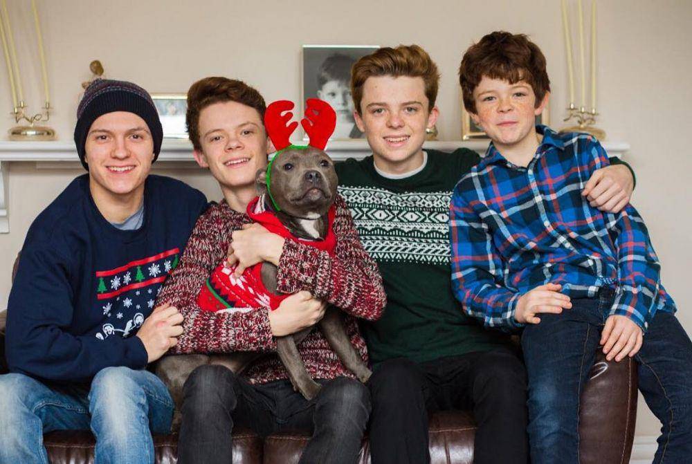 instagram.com/harryholland64