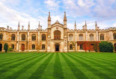 10 Universitas Terbaik di Dunia 2020 Versi Times Higher Education