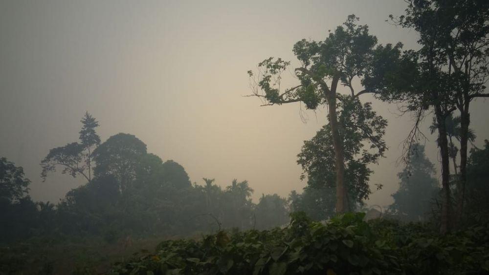 Dampak Karhutla, Penderita ISPA di Kalteng Capai 3.792 Orang