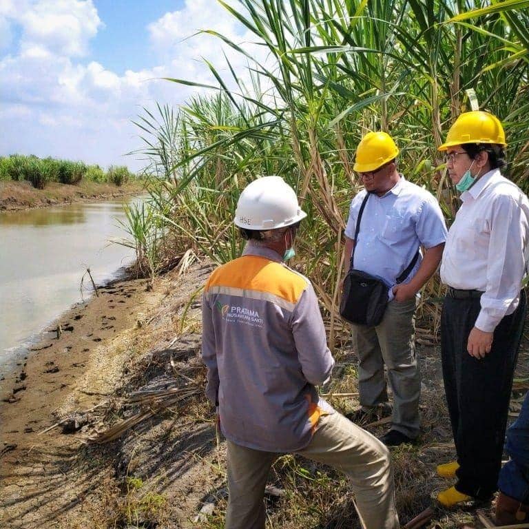 Mengenal SPT, Sistem Pembelian Tebu yang Utungkan Petani