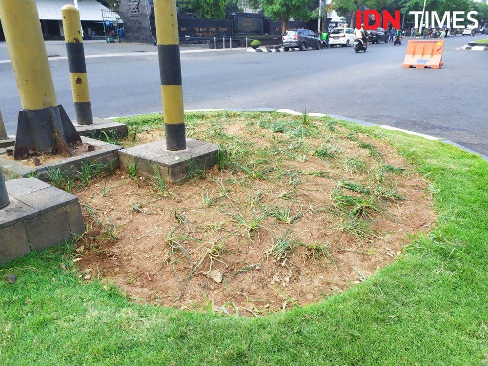 IDN Times/Dhana Kencana