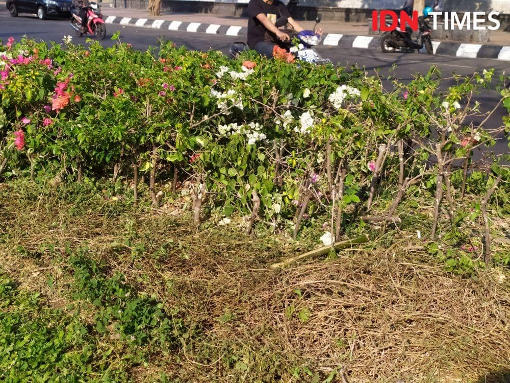IDN Times/Dhana Kencana