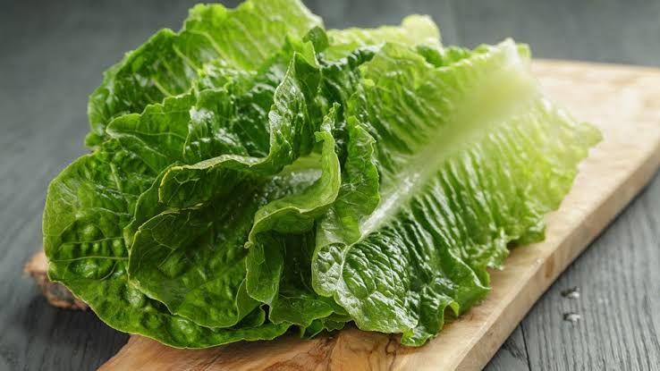 5 Manfaat Mengonsumsi Selada Romaine Bagi Kesehatan
