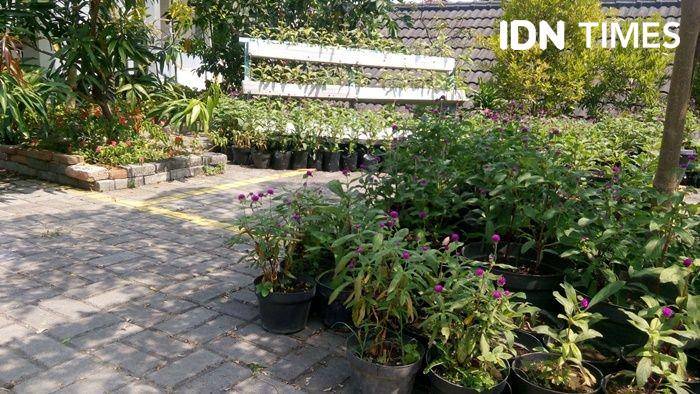 IDN Times/Pito Agustin Rudiana