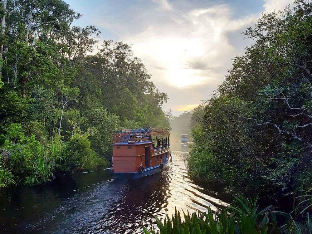 Potret Tanjung Puting (instagram.com/pesona.kalimantan)