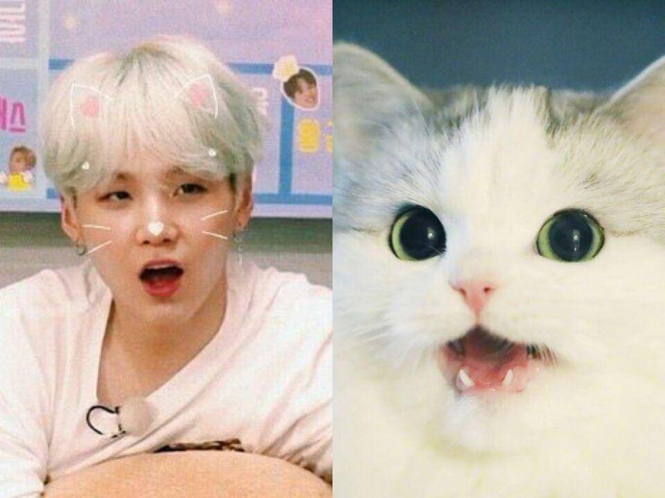 twitter.com/jiminiekitty