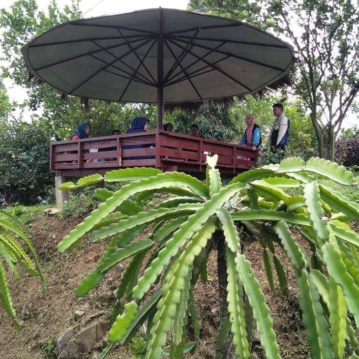 instagram.com/wisataagrojollong