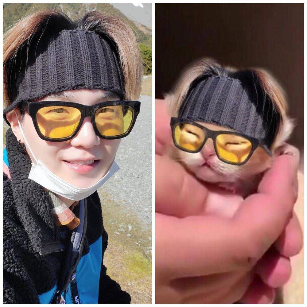 twitter.com/lilmeowmeowsuga