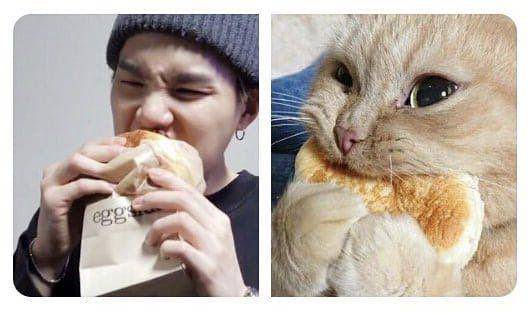 twitter.com/lilmeowmeowsuga