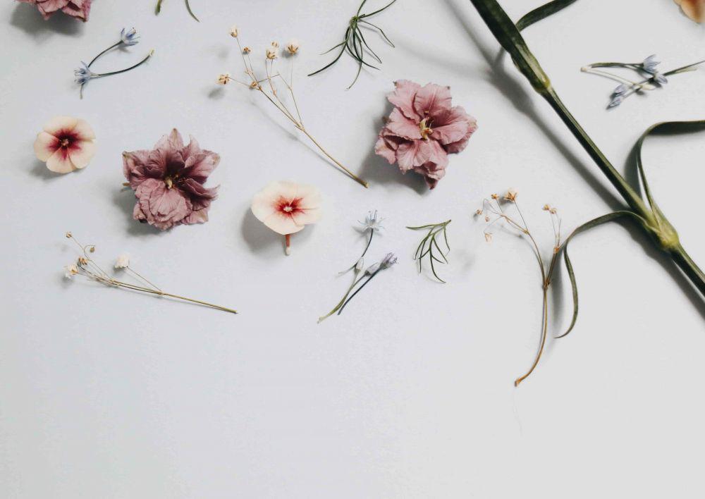 Unsplash.com/The Creative Exchange