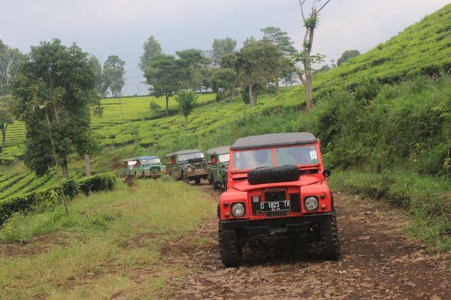Berwisata di kawasan kebun teh. http://rovers.id/