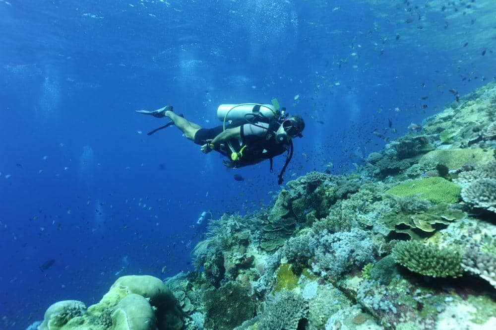 Dok.IDNTimes/Jean Michel