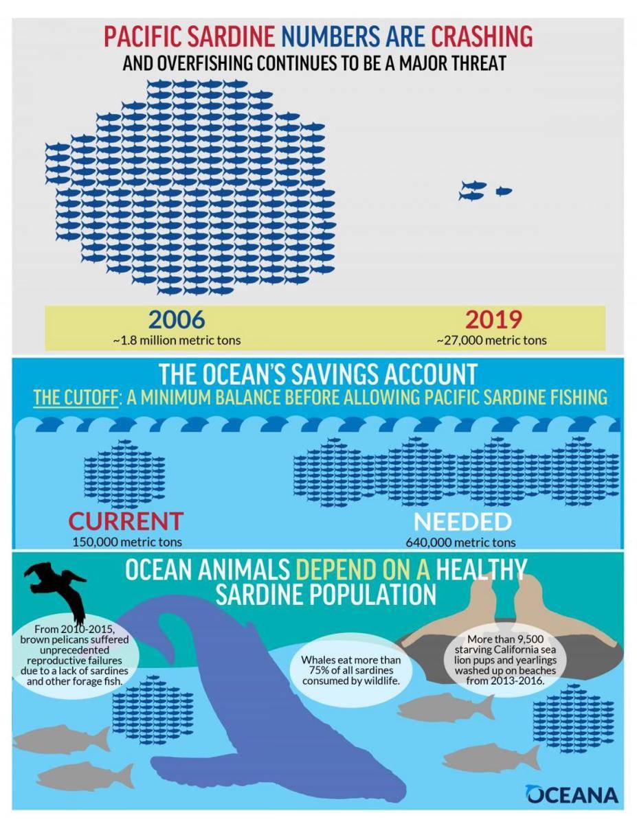 oceana.org
