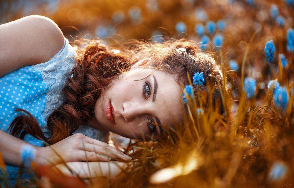 Pixabay/Kirill Averianov