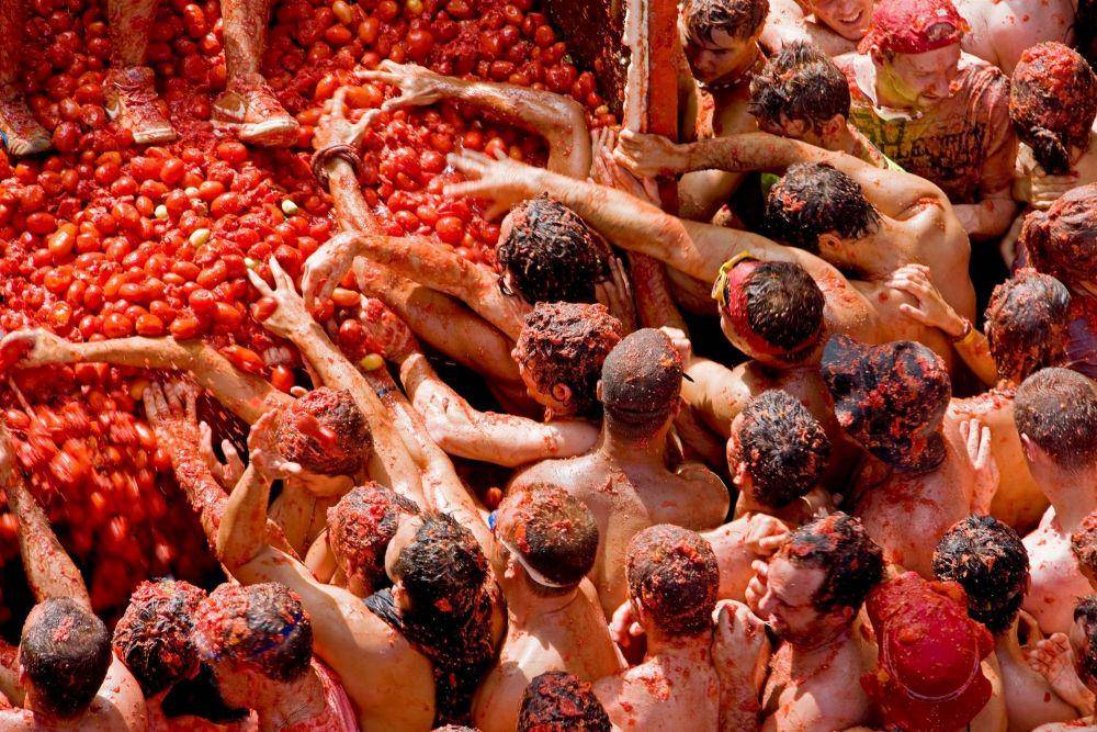 vivelasfallas.es