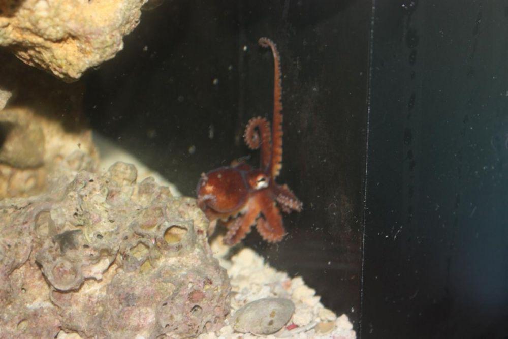 reef2reef.com