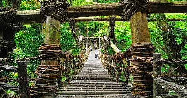 discovertokushima.net